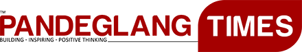 News Logo